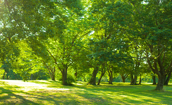 環境のイメージ