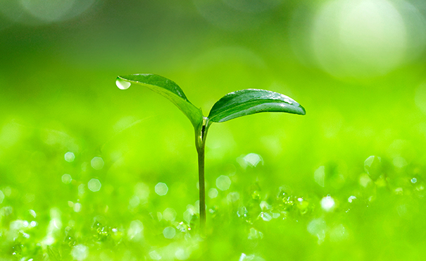 環境のイメージ